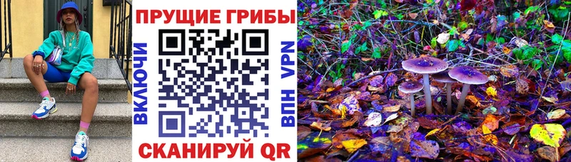 нарко площадка как зайти  Серафимович  Псилоцибиновые грибы мухоморы 
